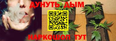 кокс Будённовск