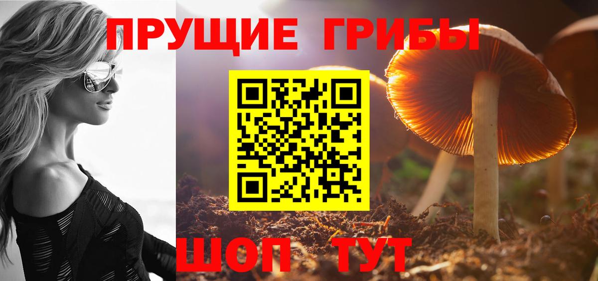 Псилоцибиновые грибы мухоморы Темрюк